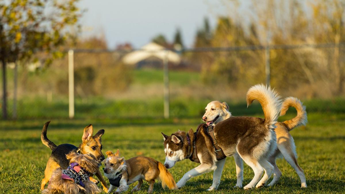 leo_visions-qbuetblfbhm-unsplash_00223600