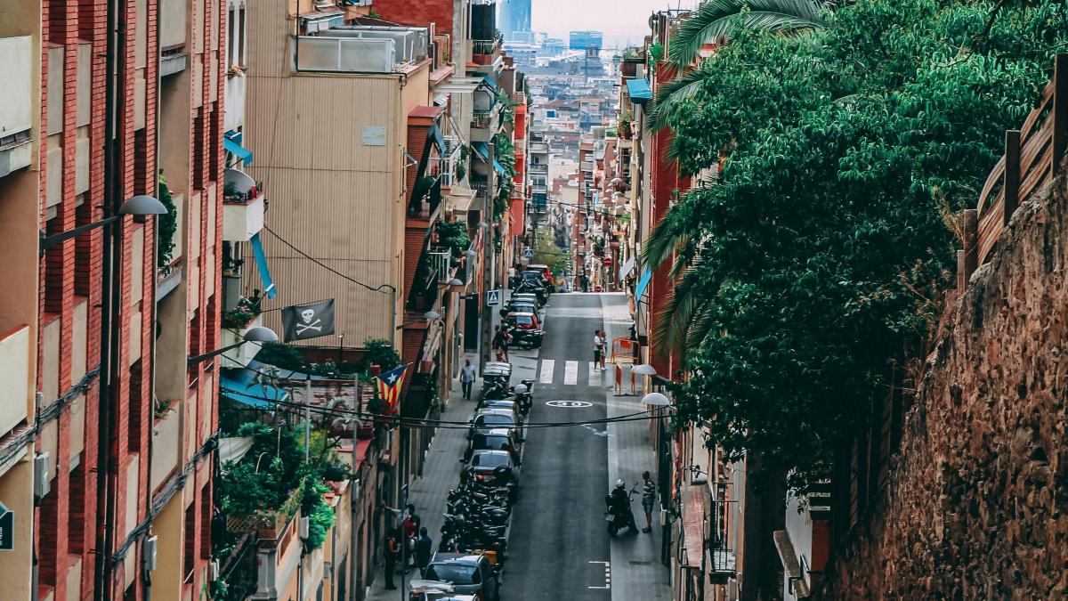 pexels-enricoperini-705423_24973600