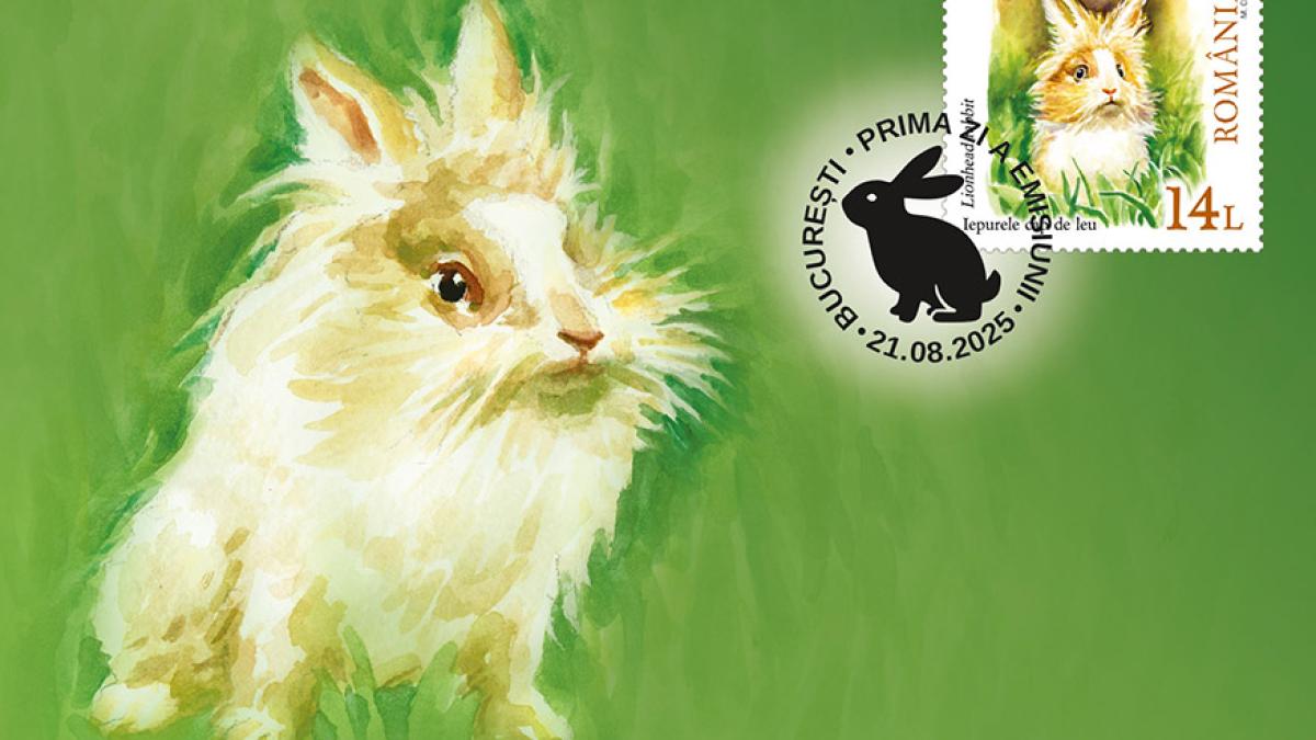 timbre-iepuri-minicoli_66112900