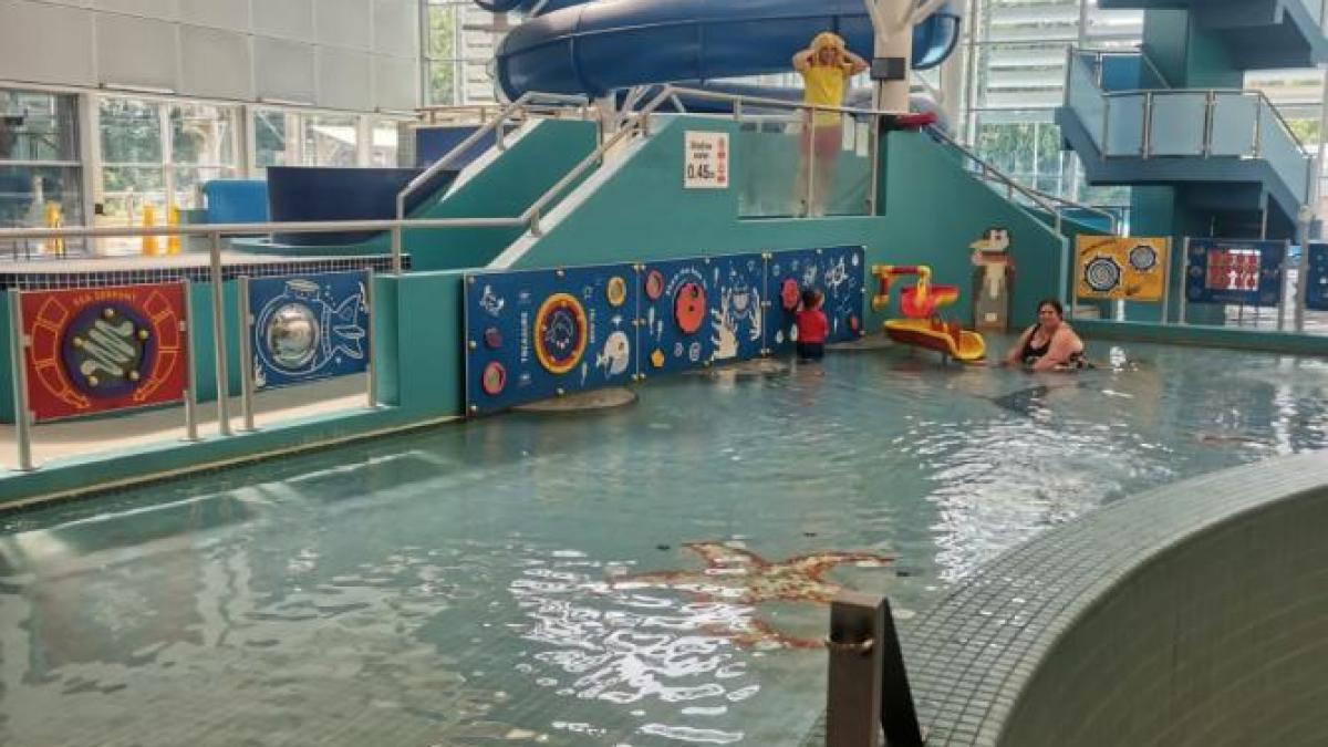 pisicina-britanici_28035500