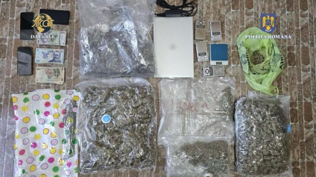 droguri-perchezitii-valcea_16822400