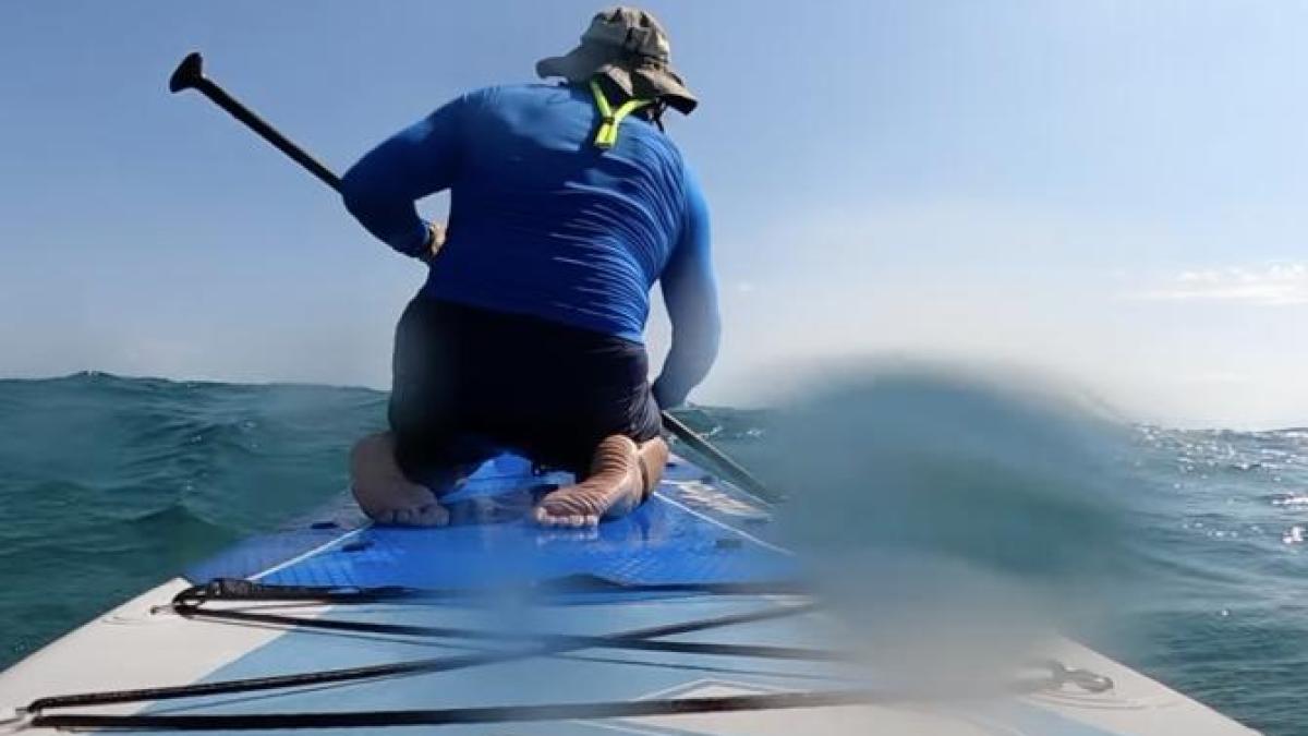 salvare-romani-inec_78991100