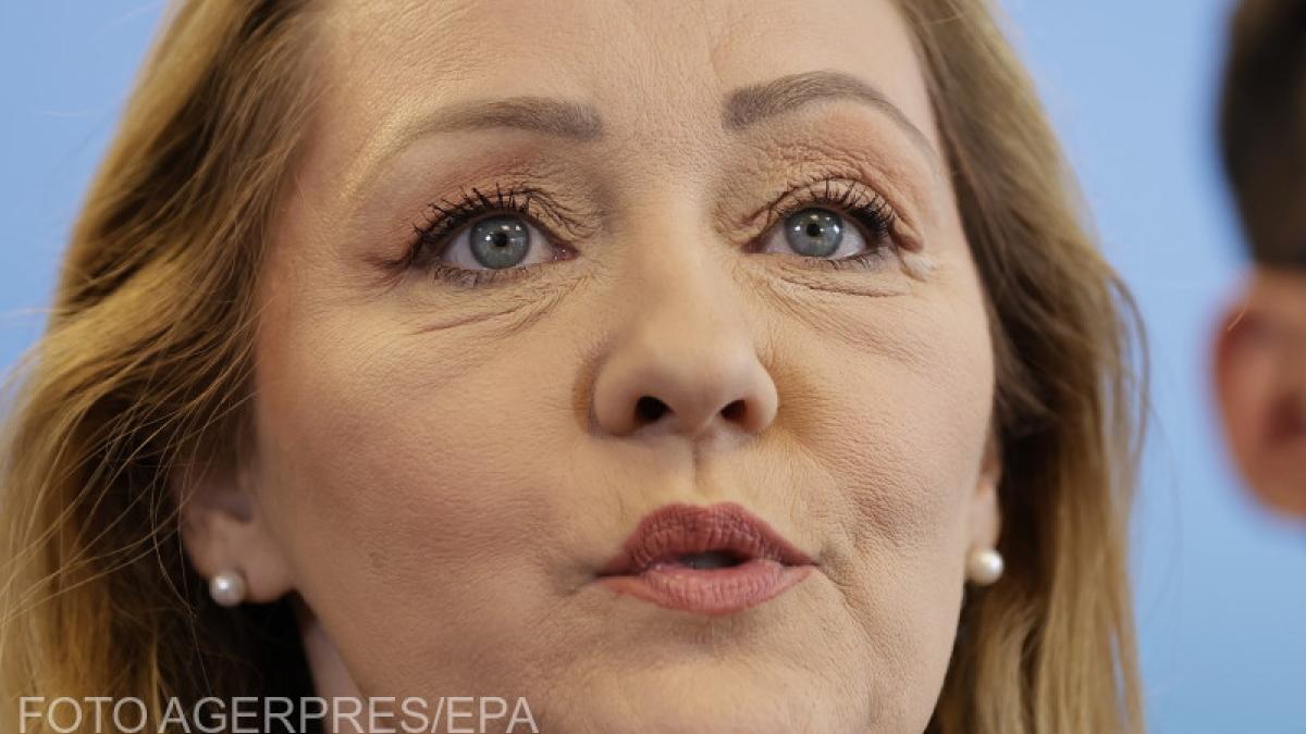 animal-orasul-lui-lasconi_92064800