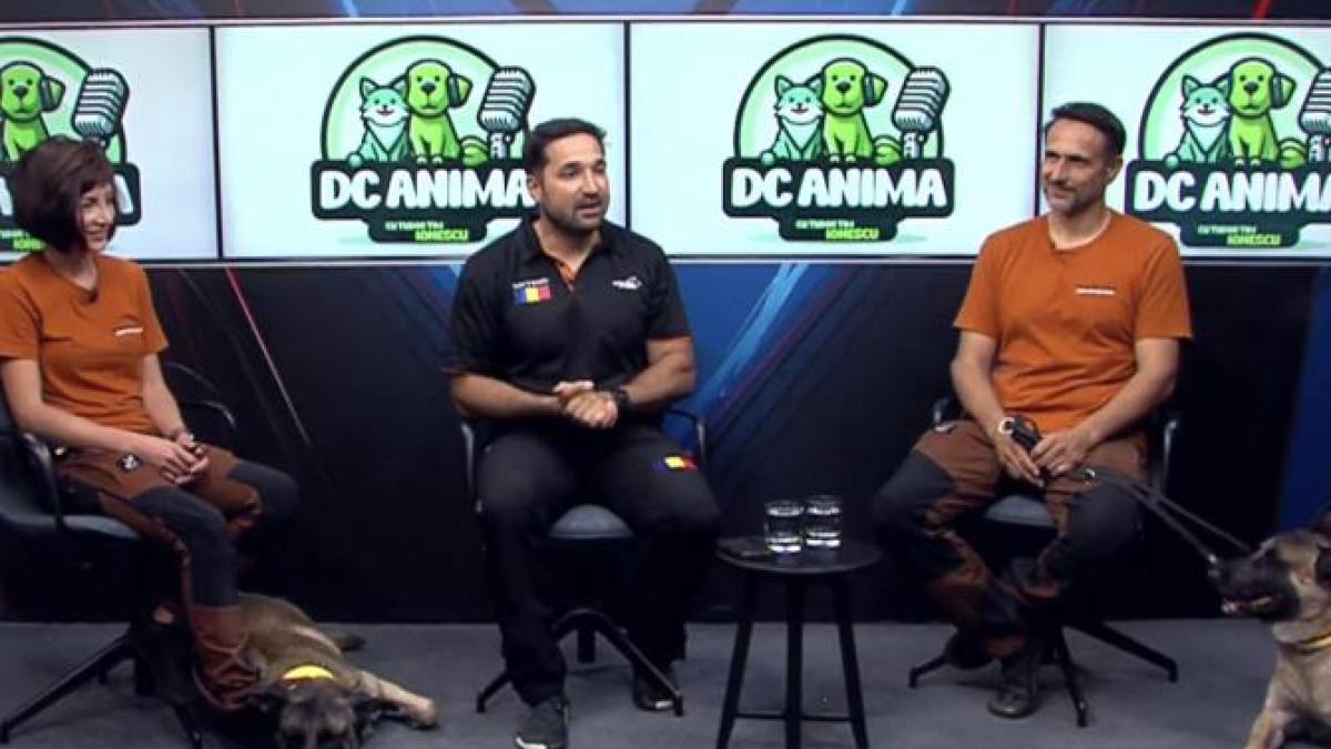cainii sportivi din romania la campionatul mondial o editie speciala a emisiunii dc anima video