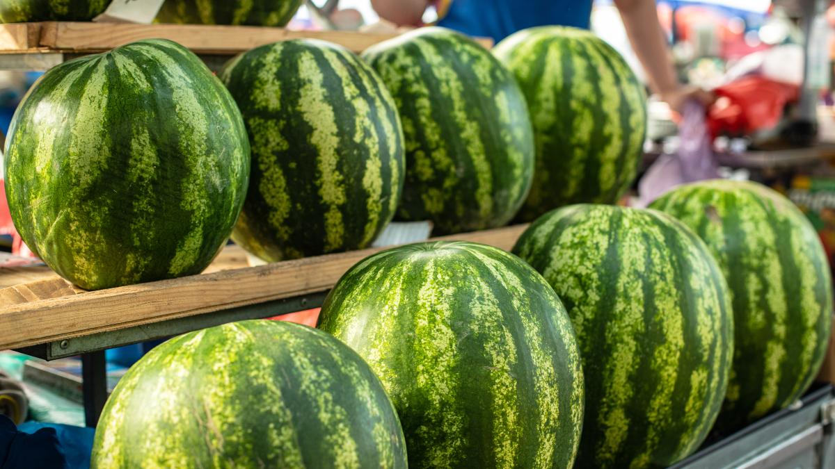 green-watermelons-pepene_13712400