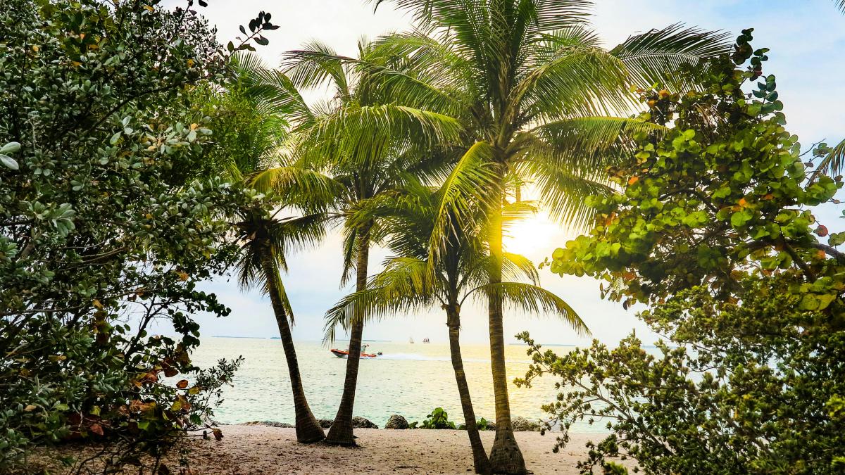 miami-pexels_05867800