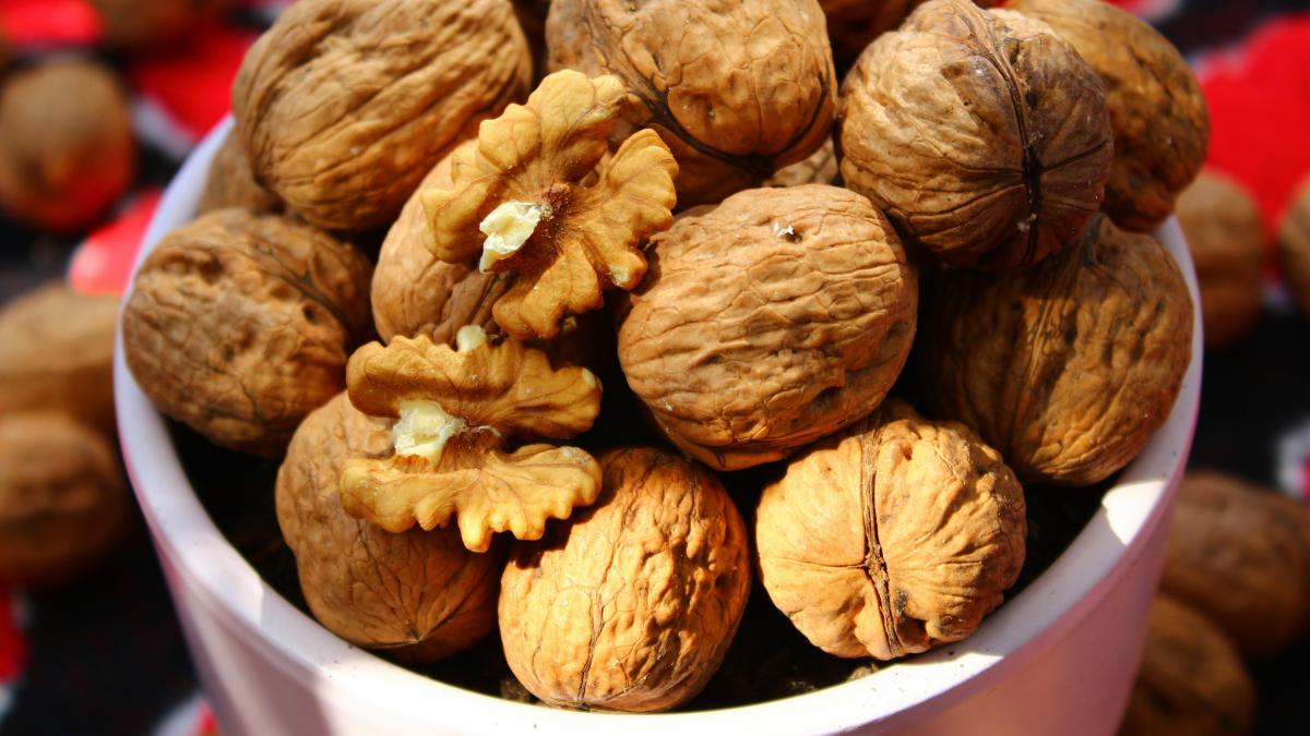 mustafa-akin-zuhlefy_ona-unsplash_92532000