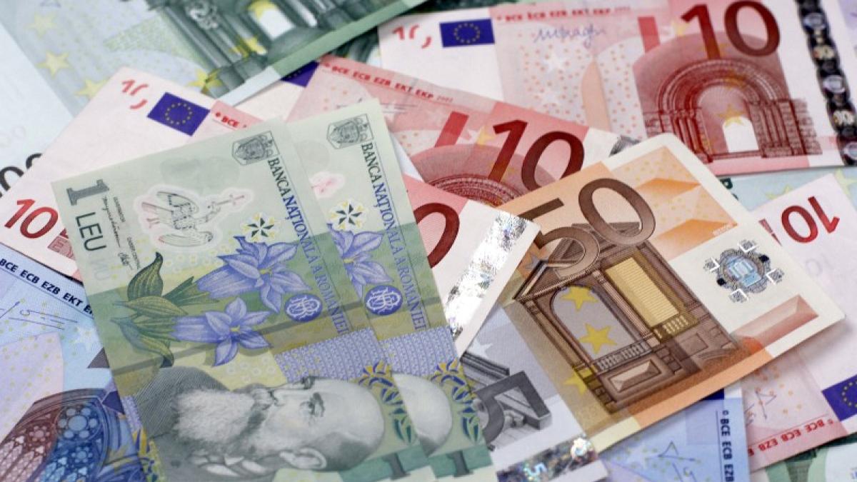 fmi-vine-in-romania_26299100