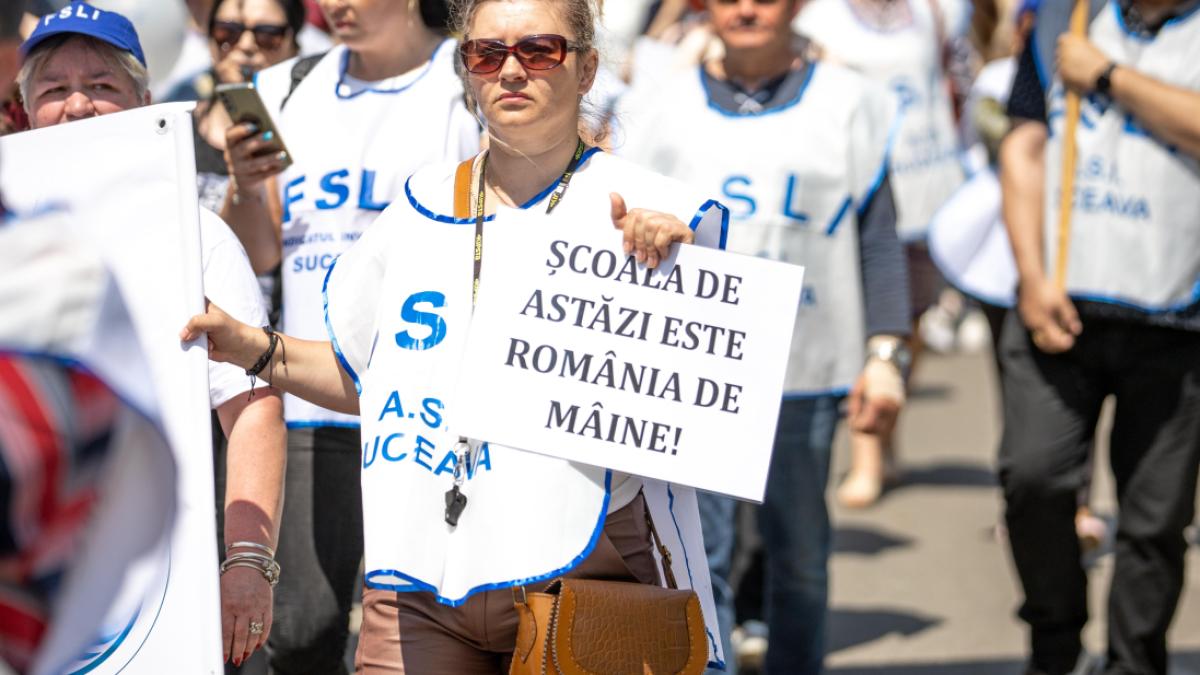 profesori-protest_53402200