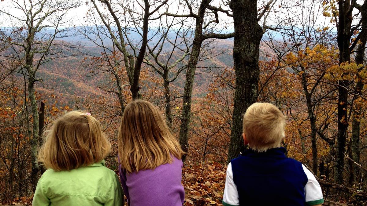 copiii-cu-dubla-identitate-din-diaspora-luiza-dinica-diculescu-se-rusineaza-sa-vorbeasca-limba-romana-pentru-ca-cineva-s-a-straduit-foarte-mult-sa-isi-critice-tara_69293400_02887900