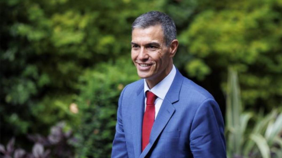 pedro-sanchez_26730300