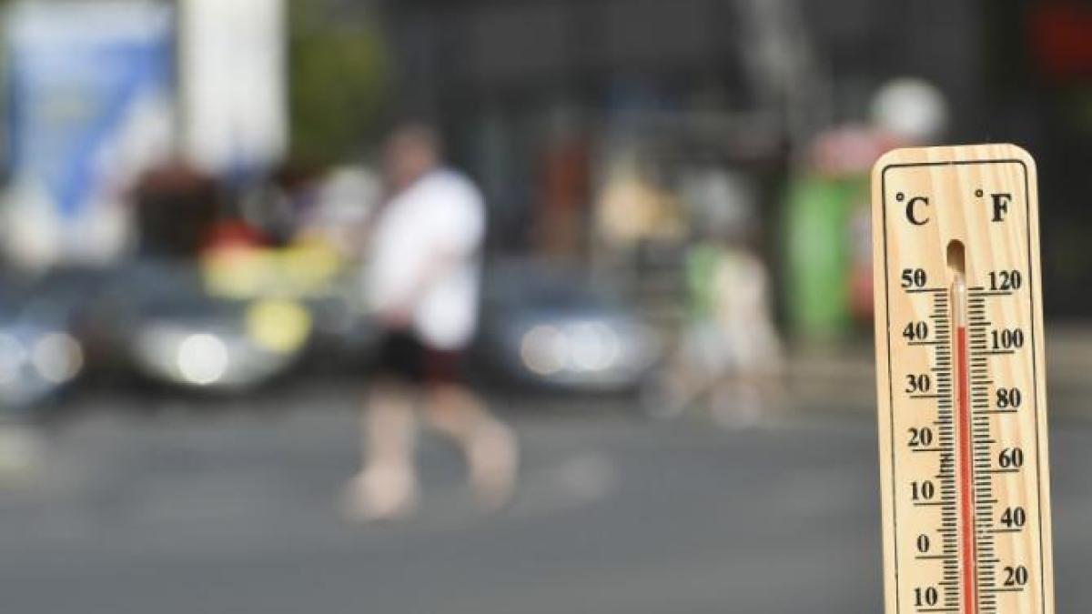 temperaturi-canicula-caldura-vara_95059900