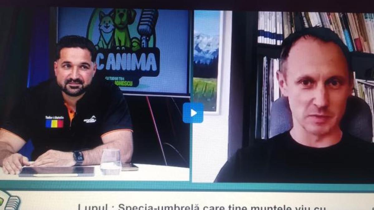 lupul-dc-anima_21837300