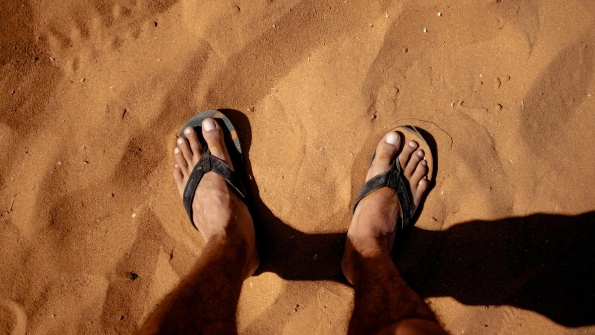 slapi-pexels_26646600