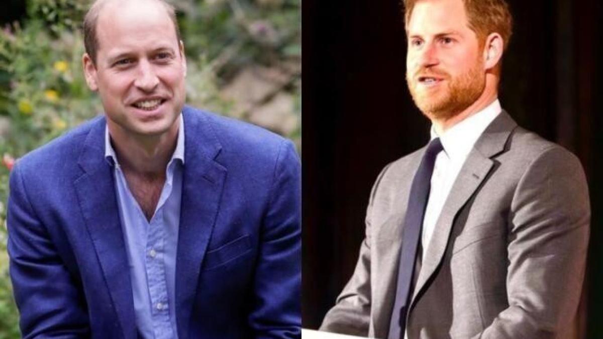 harry-william-marea-britanie_31289100