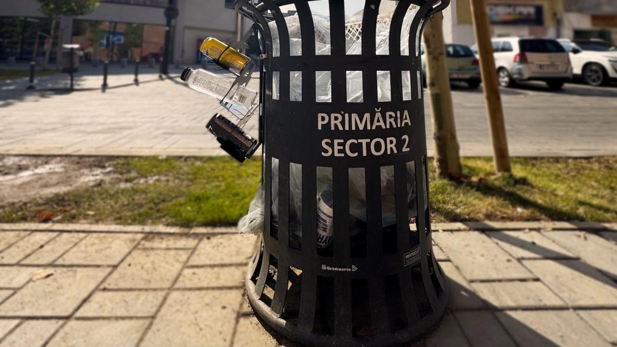 primaria-sector-2_92699000