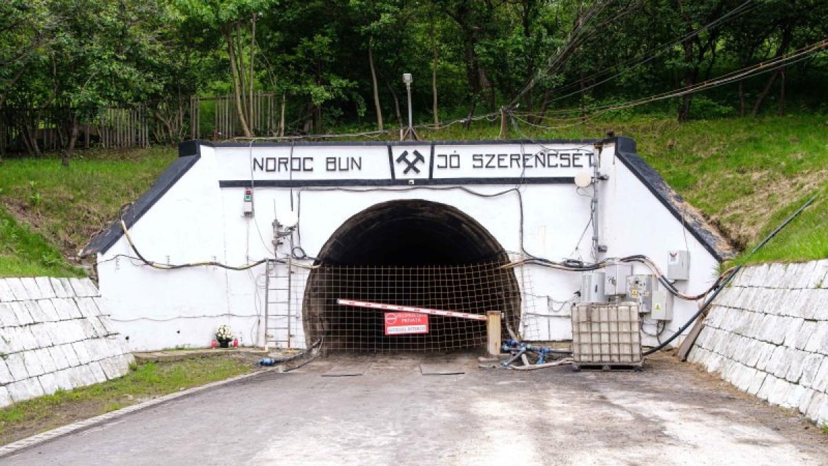 noroc-bun-salina-praid_67491600