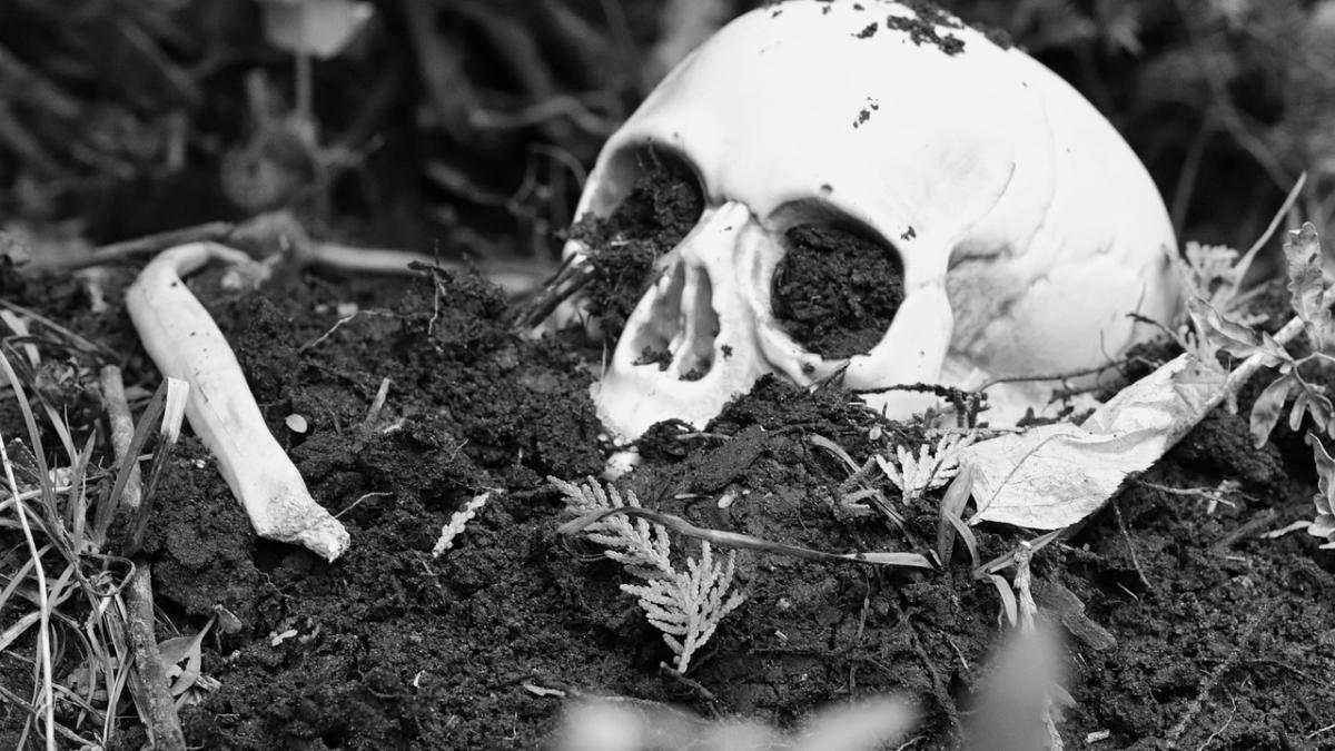 osaminte-muntii-ceahlau_98112100