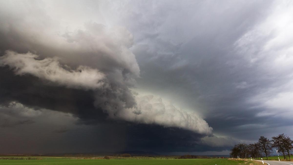 ploi-tara-elena-mateescu_31747000