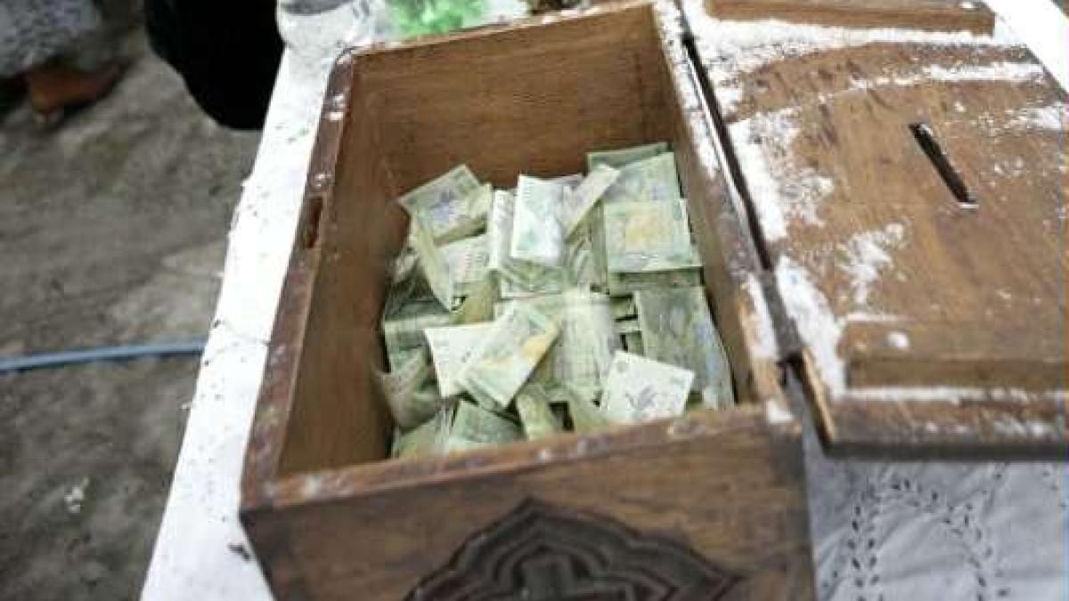 cutia-milei_14702300