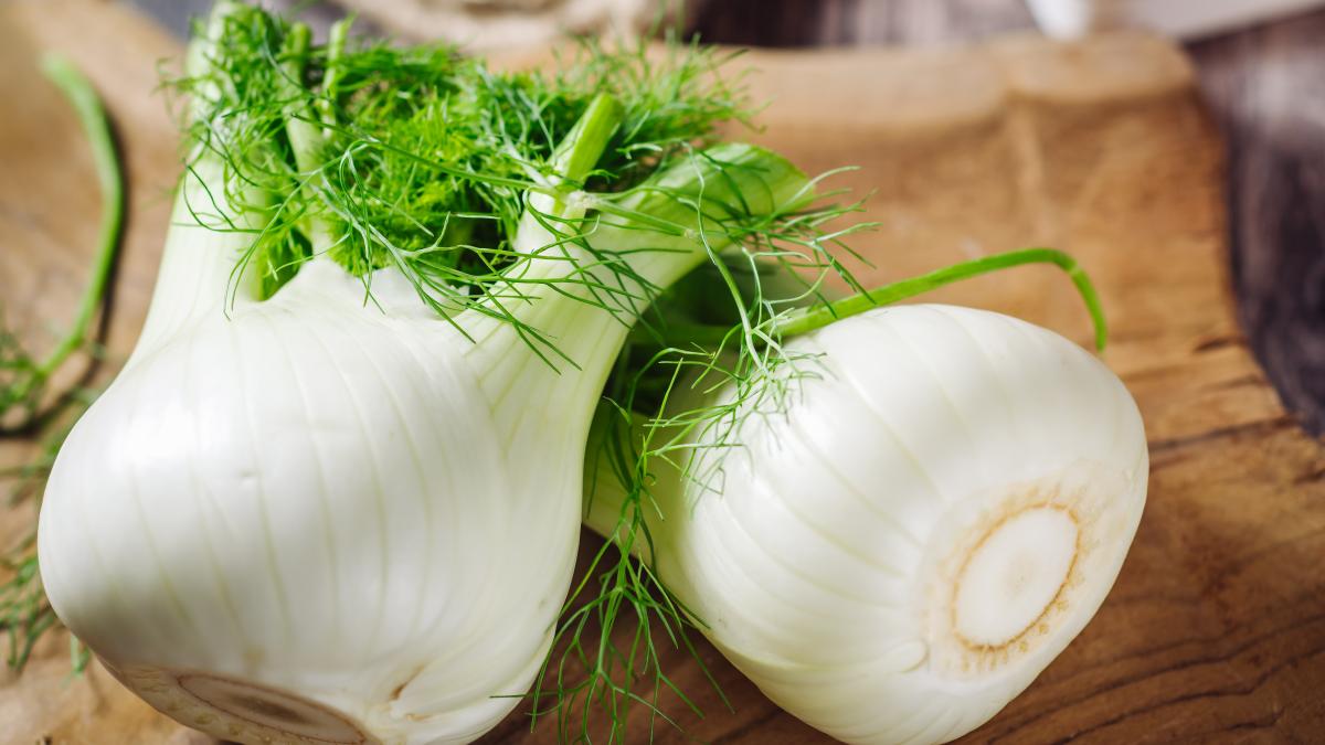 fresh-raw-fennel_14944100