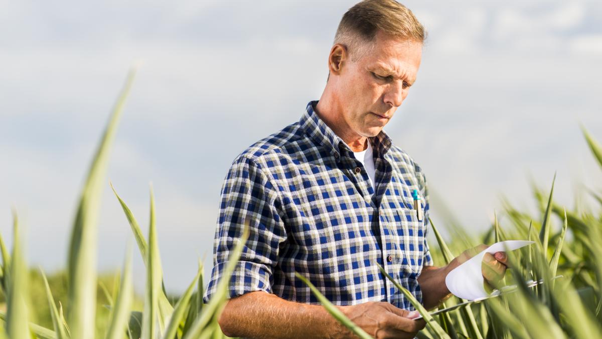 vesti-pentru-agricultorii-afectati-de-seceta-ce-se-va-intampla-cu-ratele-la-banci_36569900