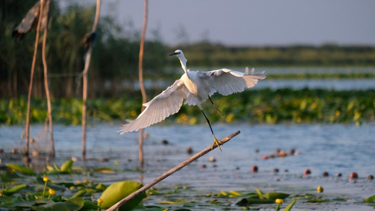 delta-dunarii-investiitii-constructie_57928400