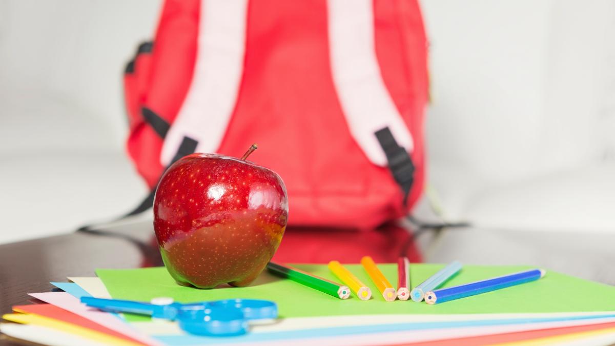 scoala-elevi-mancare_13916200