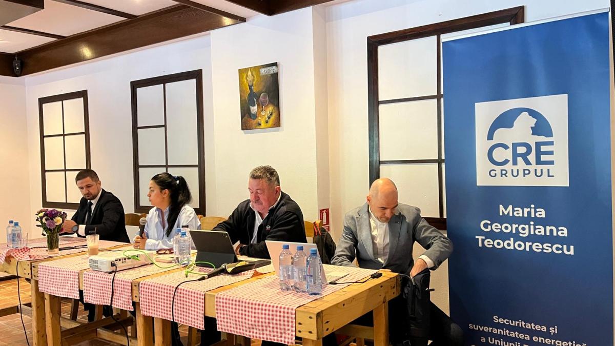 maria georgiana teodorescu