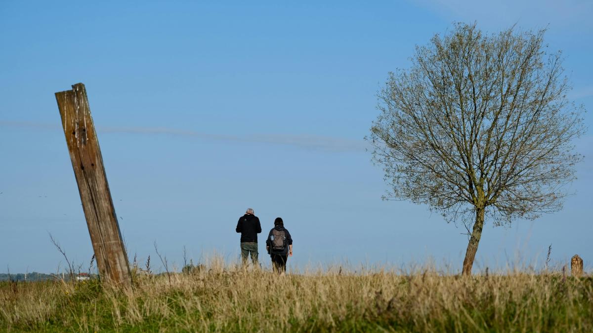 oameni singuri pexels-szafran-33970051