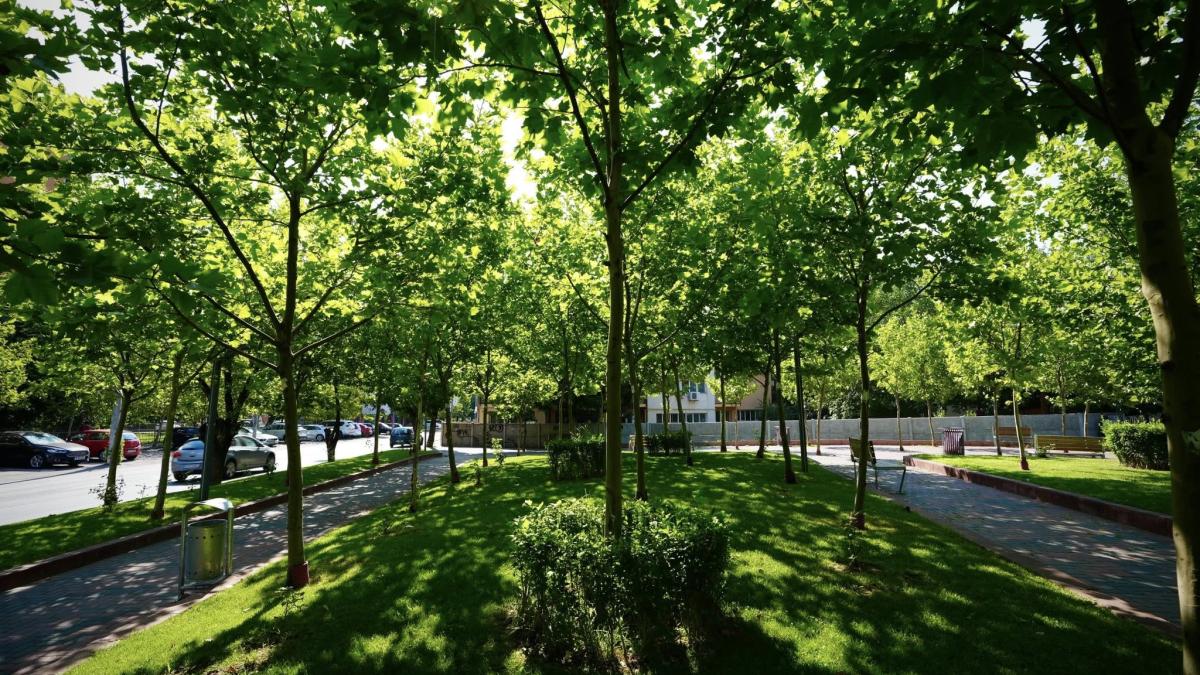 bucuresti-sectorul 3