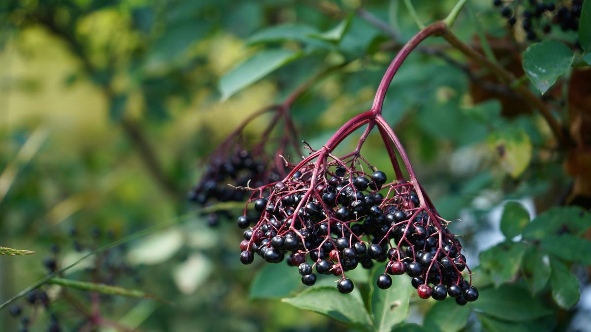 tadeusz-zachwieja-ITFBAchRAiI-unsplash