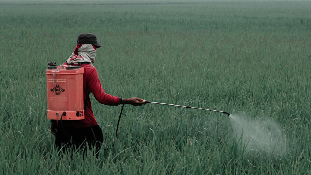 Europa și-a dublat exporturile de pesticide interzise în ultimii șase ani. ONG-urile denunță o practică periculoasă