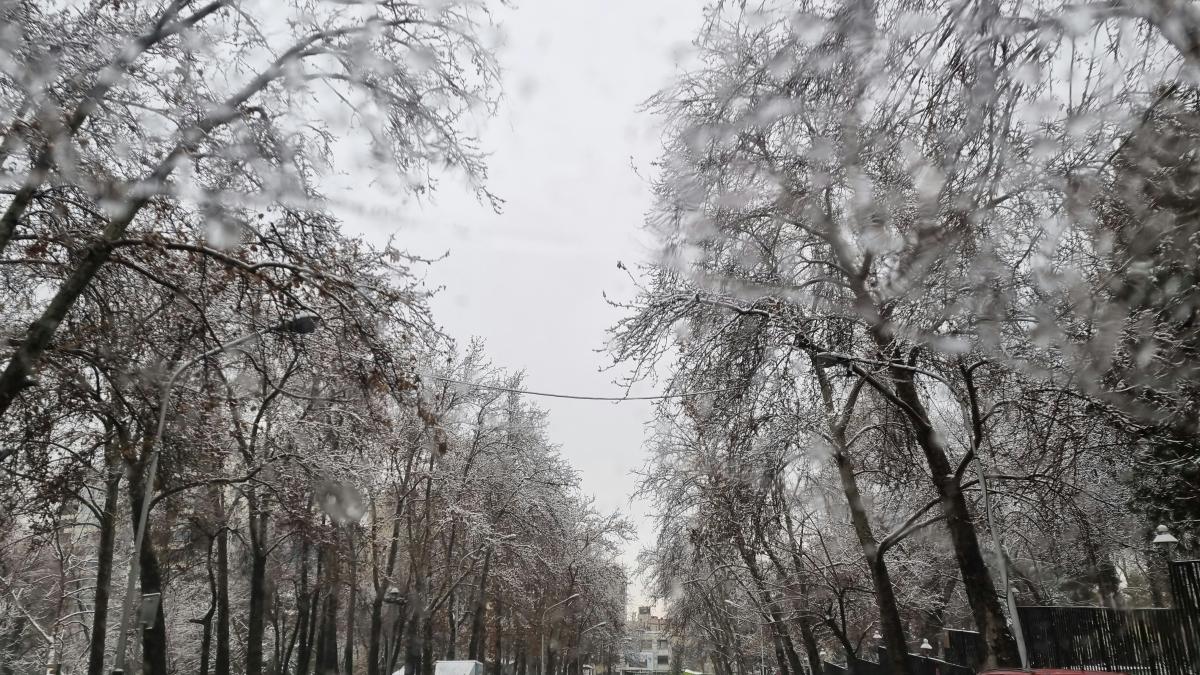 florinela georgescu anm la dc news cand vine iarna in acest an