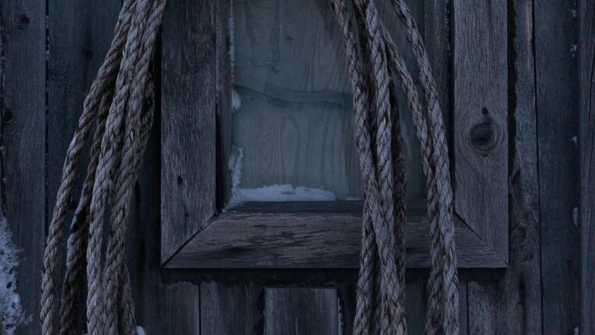 pexels-danilovkzn-9194962