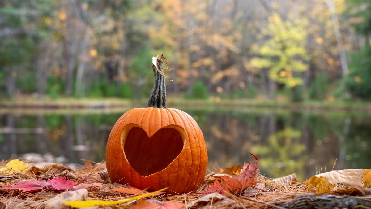pumpkin-carved-with-heart-shape-bed-leaves