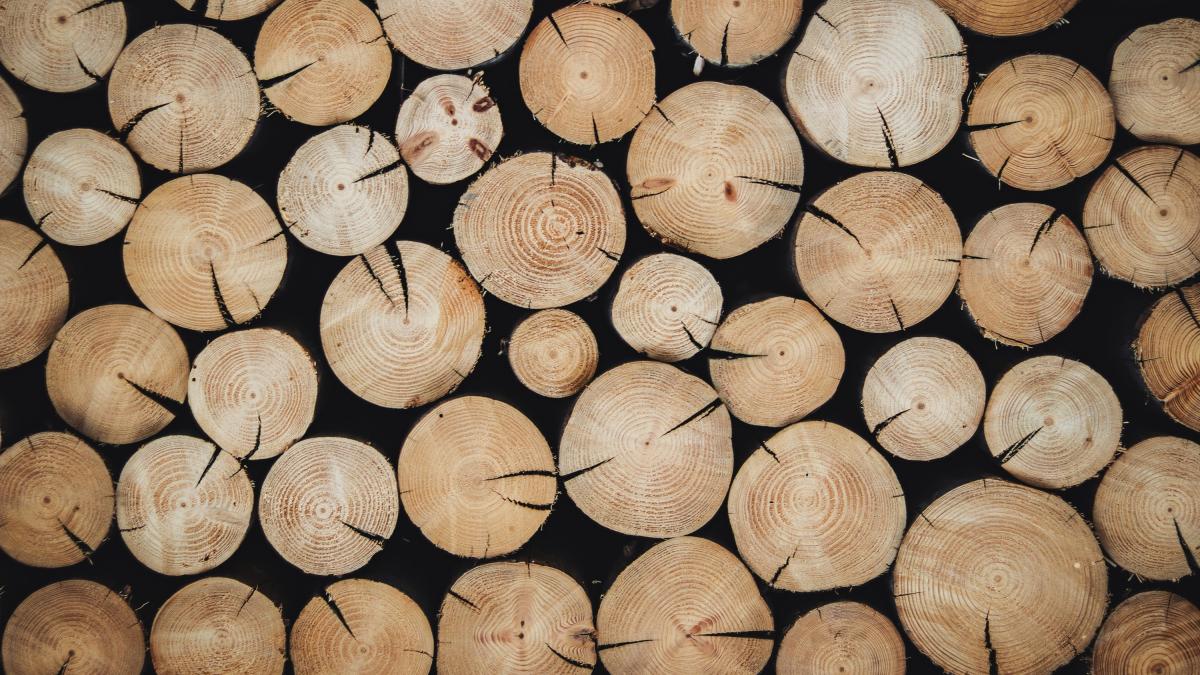 alexandre-jaquetoni-6yelWDI3RE8-unsplash