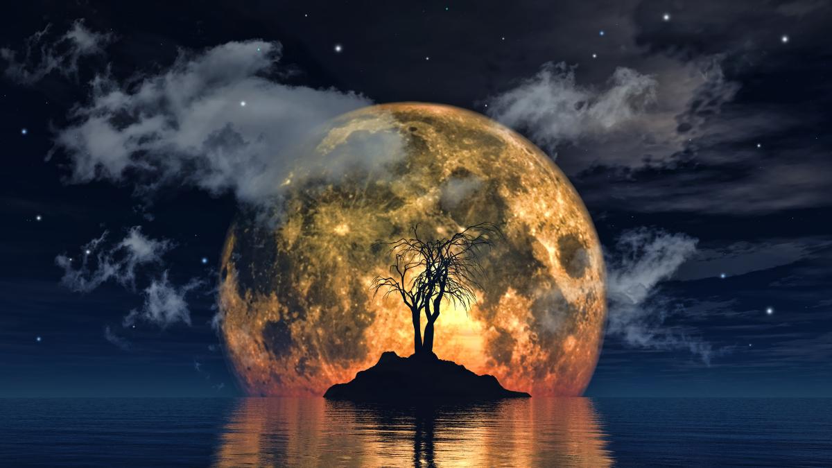 spooky-tree-against-big-moon
