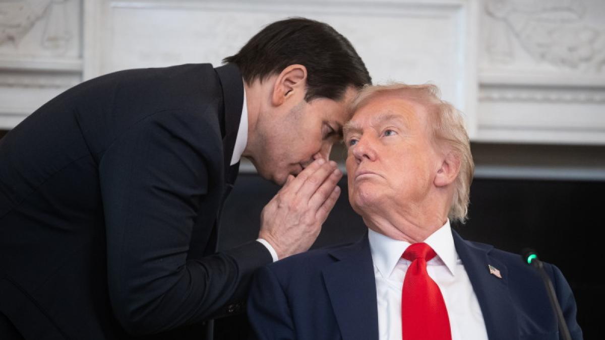 rubio trump