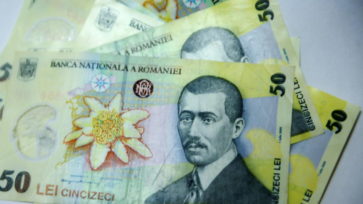 bani lei bancnote portofel leu ron cheltuieli facturi investitii (4)