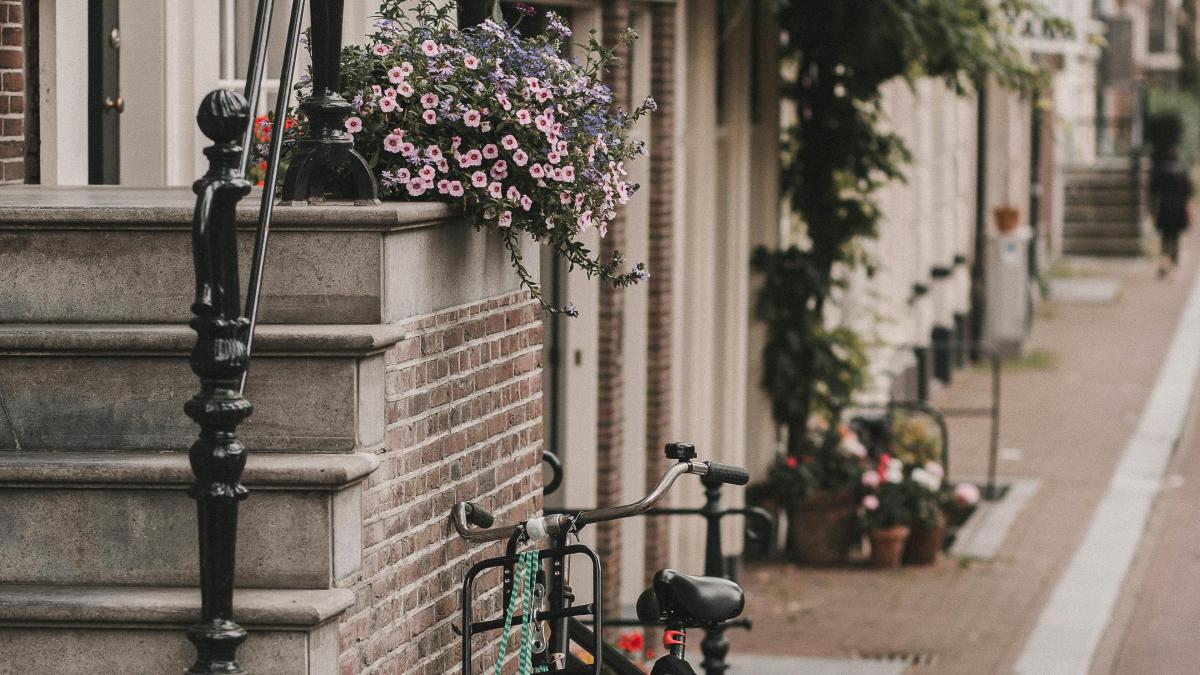 pexels-vlada-karpovich-4449427