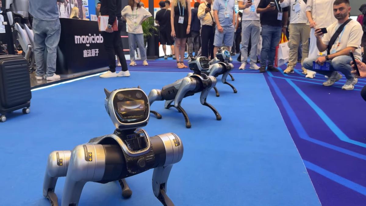 China surprinde din nou Câini-roboți patrulează, detectează nereguli și avertizează localnicii