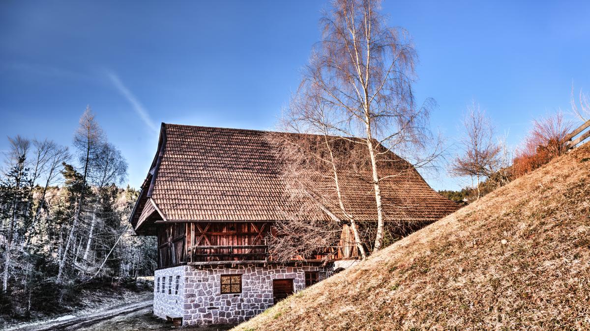 Locuințele de la țară ar putea fi făcute fără autorizație. Cseke Attila explică noile reguli de construire