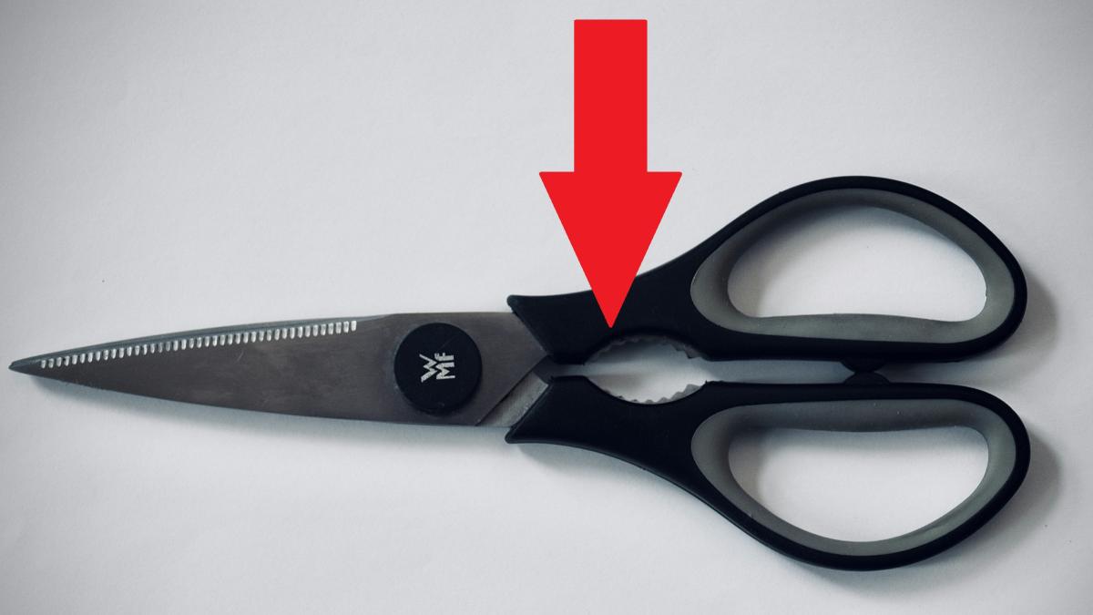 everyday-basics-i0ROGKijuek-unsplash