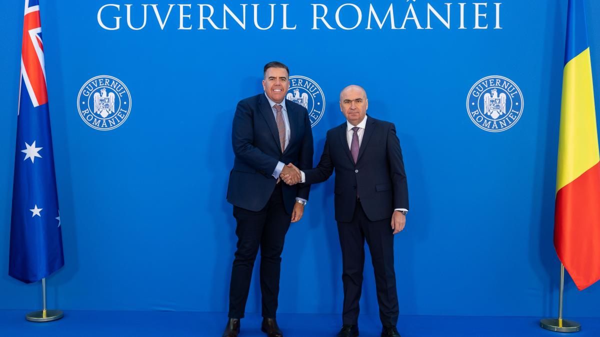 ilie bolojan si miltaon dick