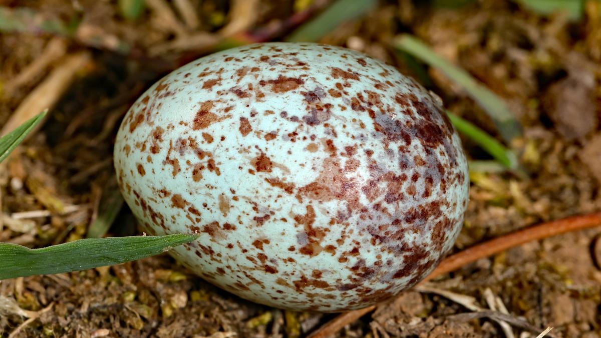 thomas-elliott-A6FoFSkojHg-unsplash