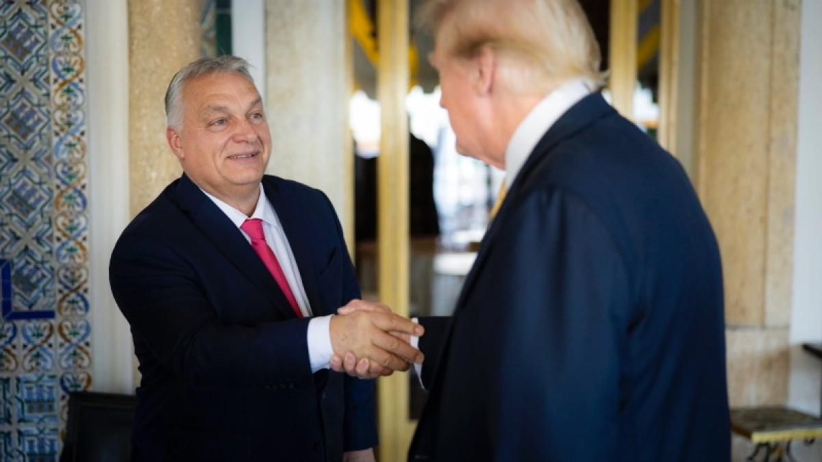 trump_orban_65952100