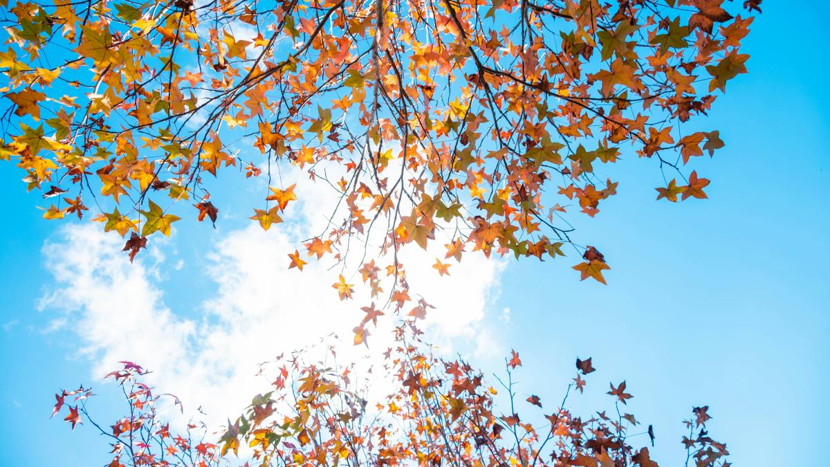 octombrie 2025 atipic