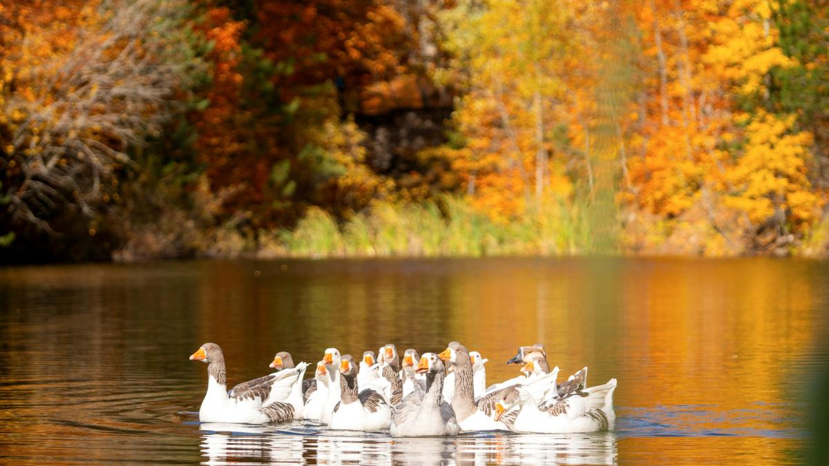 vremea noiembrie pexels