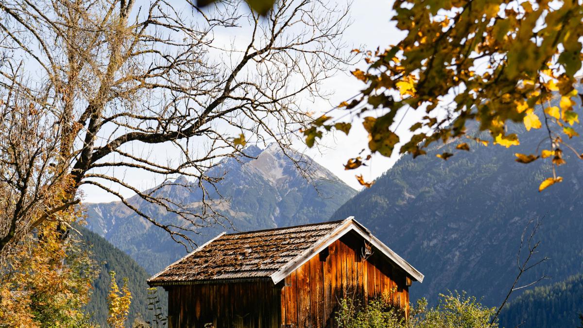 prognoza meteo vremea toamna noiembrie